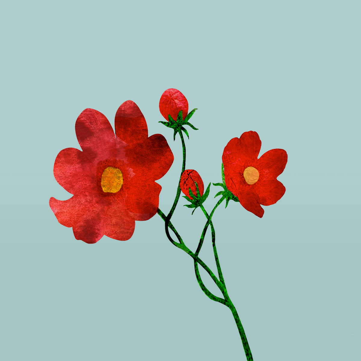 Illustration with flowers